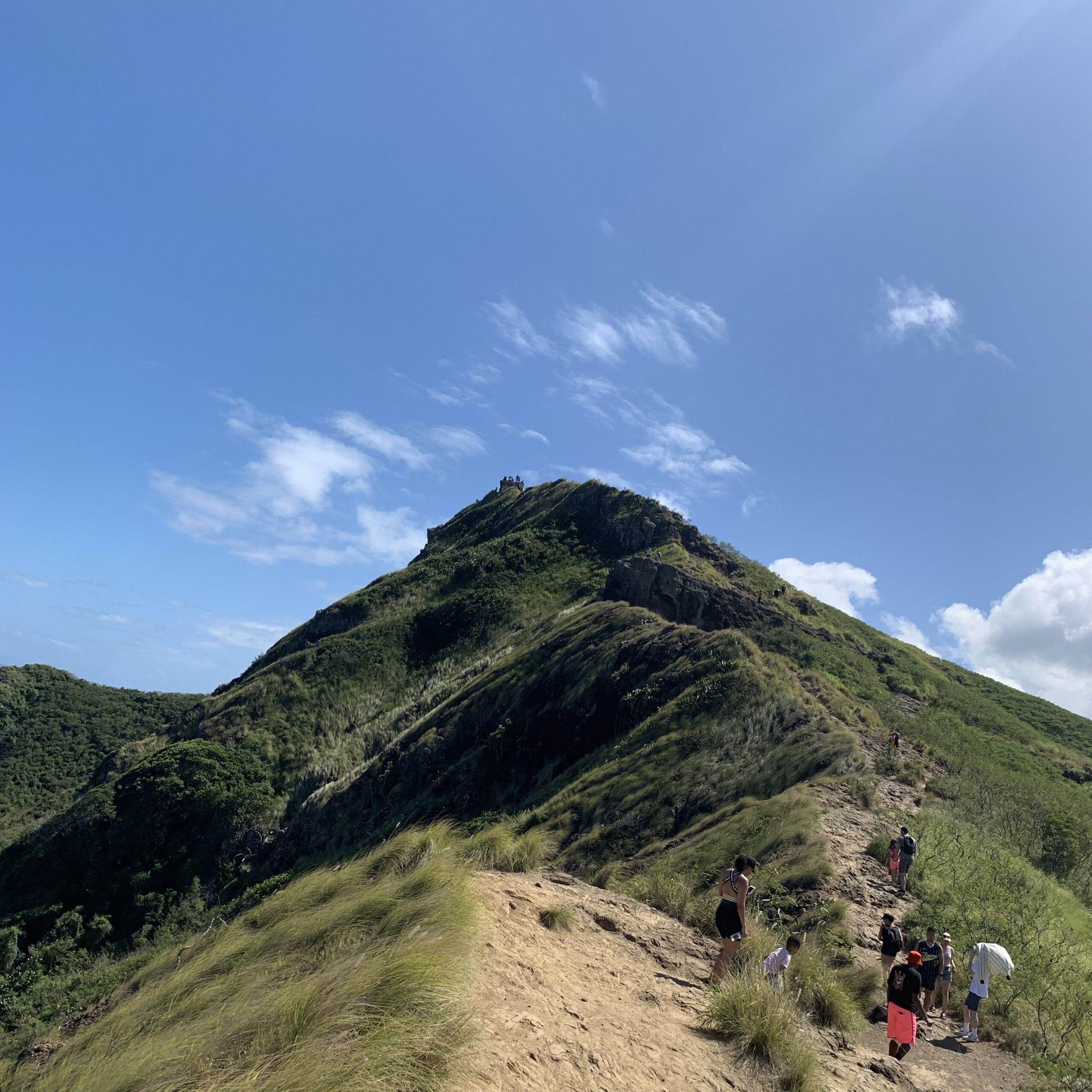 青空に向かって続くハワイの山道